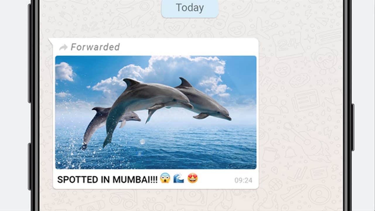An example of a rumour message on WhatsApp. 