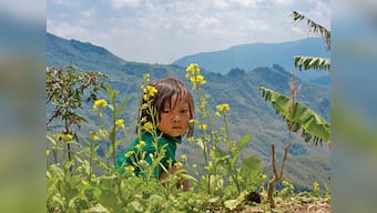 Uneasy peace in the Naga Hills