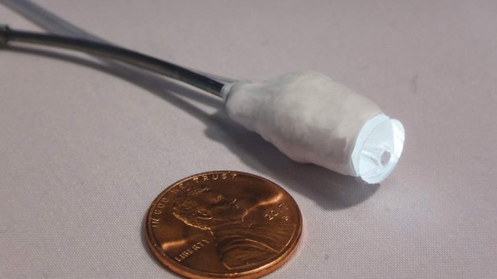 Cockroach-inspired surgical bot slithers into pig's heart with no human guidance