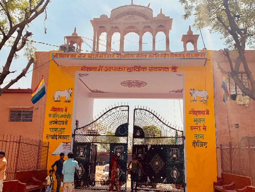 The staff at Ramgarh's biggest cow shelter say they are fed up of the politicisation of 'gau raksha', claiming that the administration backs those who engage in illegal cattle trade. Pallavi Rebbapragada/Firstpost