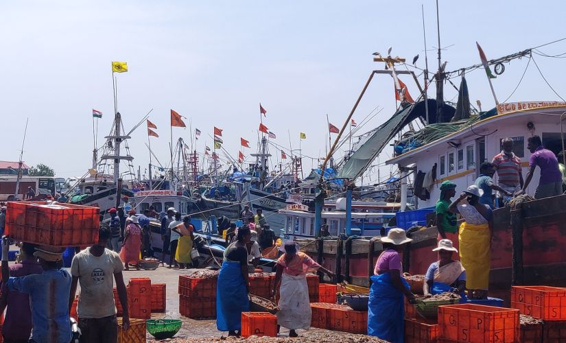 The flags on the mast of fishing trawlers docked at Bunder mark out the communal faultlines that today define Coastal Karnataka. Image by Greeshma Kuthar