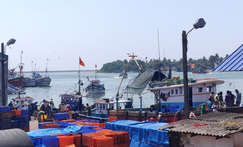 A Department of Fisheries was established in Madras Presidency in 1908. The western coast from Udupi till Calicut in Kerala was under their control. The fishing communities along this coast lived in their traditional clusters, following traditions specific to their communities. Image by Greeshma Kuthar