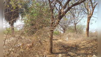 Death of 23-year-old engineering student in Karnataka's Raichur: In suicide note, victim blames herself; family cries foul