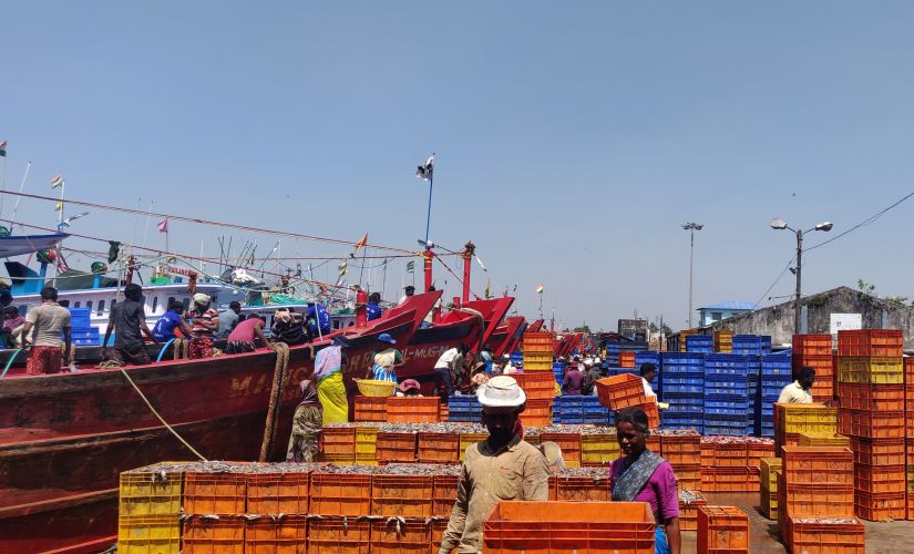 How coastal Karnataka was saffronised; part 9: Flag wars hit Dakshina Kannada port, Bunder shows how commerce trumps communalism