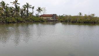 Kerala’s growing climate change crisis gets left behind in election, poll rhetoric