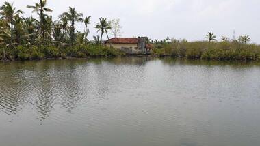 Kerala’s growing climate change crisis gets left behind in election, poll rhetoric