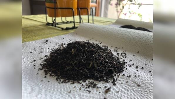 Kolkata's love for loose-leaf tea is a longstanding tradition — one the city's cha houses cater to with care