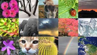 Earth Day: NASA invites people to #PictureEarth, click away at the world around them
