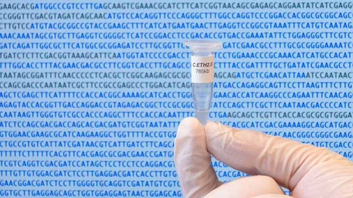 Computer-generated, edited genome used to make first synthetic life form — bacteria