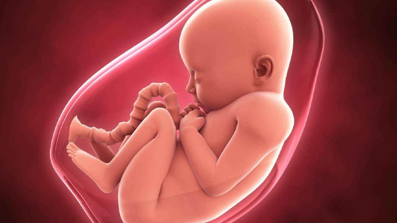 Touch forms a core part of our humanity. It is the first sense to develop in a fetus in utero. Image: Shutterstock