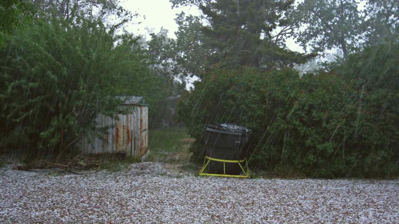 Hail in Haryana, thunder and dust storms in Delhi NCR to continue longer: Forecast