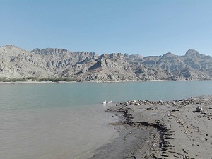 How the British transformed, subjugated the Punjab through canals — and left it vulnerable to external shocks How the British transformed, subjugated the Punjab through canals — and left it vulnerable to external shocks