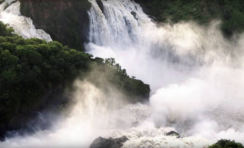 The team spent 3 years actively shooting across the diverse habitats in Karnataka. More than half of their footage outside the state’s 21 wildlife sanctuaries and five national parks. Photo by Wild Karnataka team. 