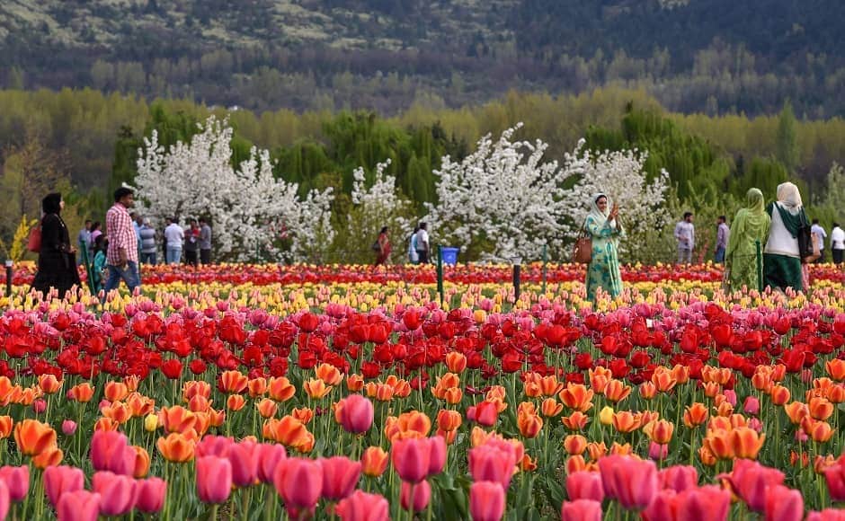 The garden sees high tourist footfalls every year. Apart from the Dal Lake, the garden also offers views of the Nishat Bagh, Pari Mahal and Chashma Shahi Bagh in the capital city of Jammu and Kashmir. Image courtesy: PTI The garden sees high tourist footfalls every year. Apart from the Dal Lake, the garden also offers views of the Nishat Bagh, Pari Mahal and Chashma Shahi Bagh in the capital city of Jammu and Kashmir. Image courtesy: PTI