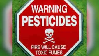 No pests in nature: Insects killed by pesticides have far more medicinal value than humans realise