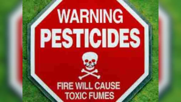 No pests in nature: Insects killed by pesticides have far more medicinal value than humans realise