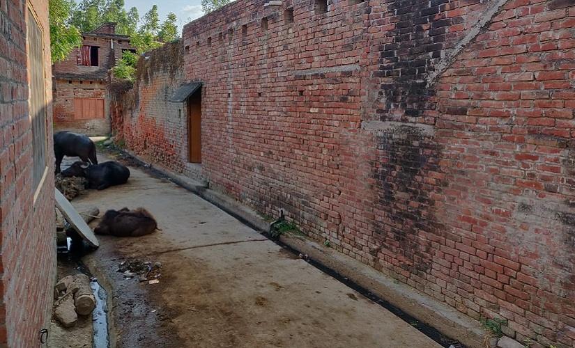 Poor roads in Unnao are a major local issue, especially in rural areas. Firstpost/Ananya Srivastava