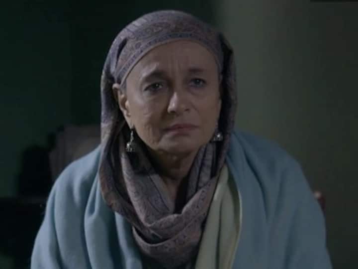 Soni Razdan on No Fathers In Kashmir, shooting in extreme weather conditions, and why she's proud of Alia Bhatt