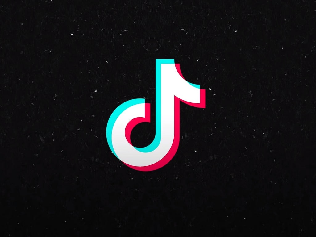 tiktok downloadr