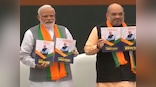 BJP manifesto 2019 goes gung-ho on IT, promises optical fibre network for every gram panchayat, higher incentives on digital transactions