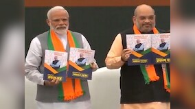 BJP manifesto 2019 goes gung-ho on IT, promises optical fibre network for every gram panchayat, higher incentives on digital transactions