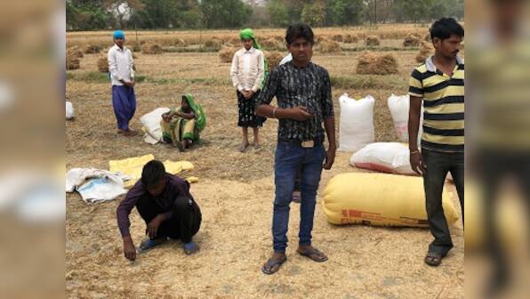 Lok Sabha election: Infrastructure, belief and Raj Narain's words explain why Raebareli remains a Gandhi stronghold