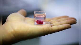 Scientists unveil 3D print of heart with human tissue & vessels in Israel
