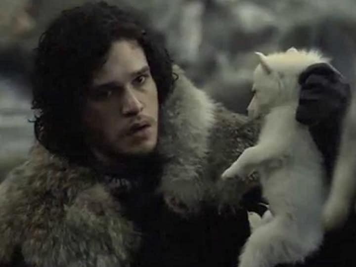 Game of Thrones season 8: Letters to Jon Snow, from his willfully ignored direwolf Ghost