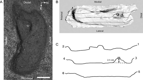 Archaeologists find oldest male human footprint in Chile's Pilauco excavation site