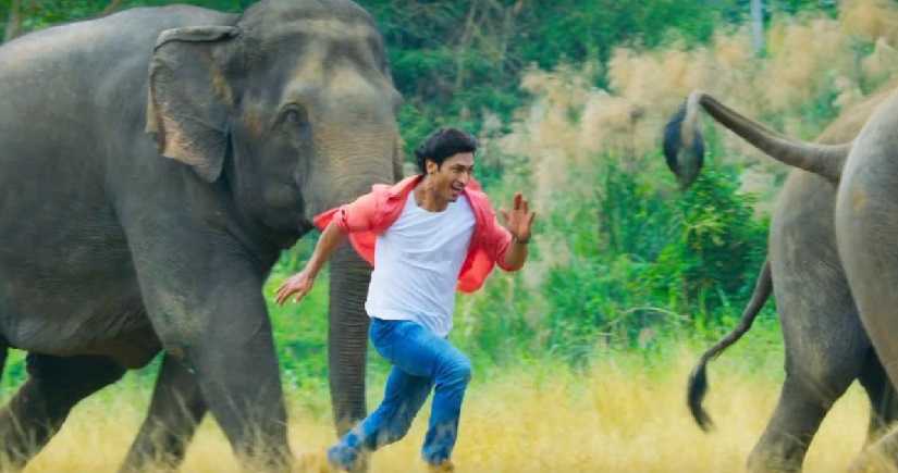 Junglee box office collection: Vidyut Jammwals action-adventure rakes in Rs 2.40 cr on Day 4