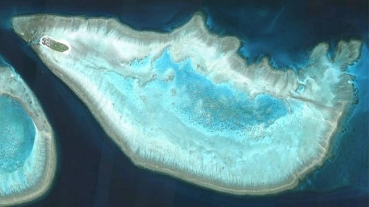 Coral reefs form halos that can be seen from space – scientists finally know why