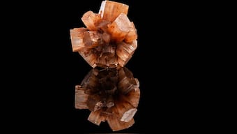 Holy Mother! Scientists find environmentally safe way to create mother of pearl