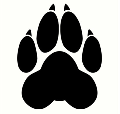  paw 