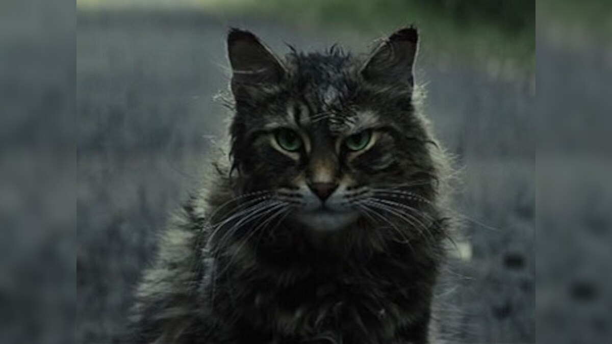 Pet Semetary movie review: Many tense moments, impeccable craft in this adaptation of Stephen King's bestseller