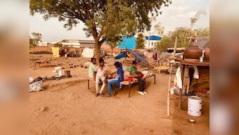Rajasthan's nomadic tribes suffer neglect as lack of unity, political apathy leave them on fringes of society