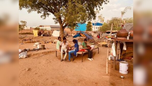 Rajasthan's nomadic tribes suffer neglect as lack of unity, political apathy leave them on fringes of society