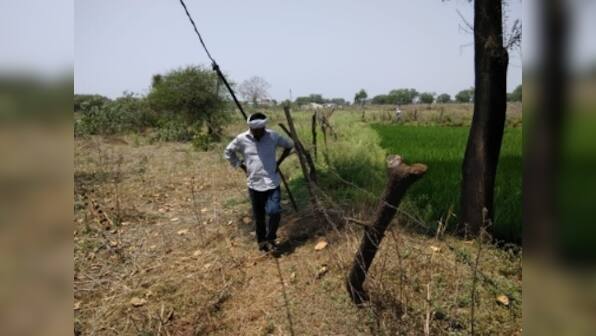 Lok Sabha election: Rajnandgaon farmers rue poor implementation of schemes, criticise Congress and BJP for unkept promises