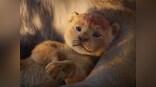 The Lion King box office collection: Disney's live-action remake surpasses Rs 75 crore mark on Day 6
