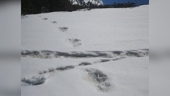 Indian Army spots Yeti in Himalayas and BJP's Tarun Vijay says 'don't call it beast, say he is a snowman': Twitterati is speechless