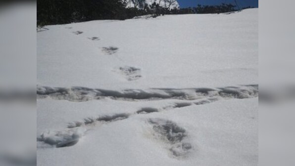 Indian Army spots Yeti in Himalayas and BJP's Tarun Vijay says 'don't call it beast, say he is a snowman': Twitterati is speechless
