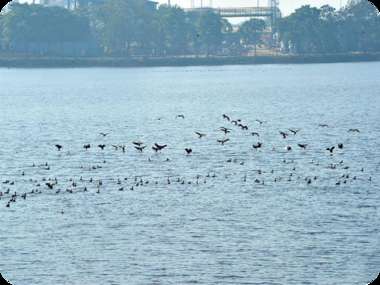 Renewing the pledge for sustainable water management Renewing the pledge for sustainable water management