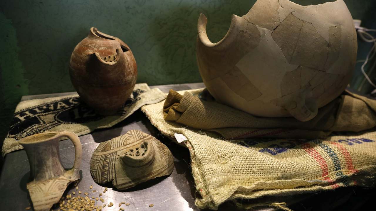 Israeli researchers used 5,000 year old resurrected yeast to make beer and mead