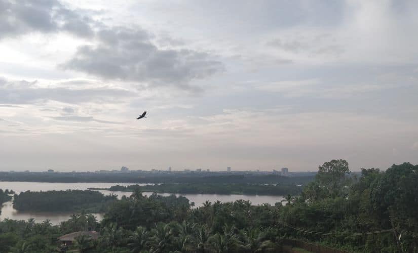 A bird’s eye view of Mangaluru city. Image by Greeshma Kuthar