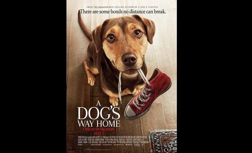 Film poster of A Dog’s Way Home. Twitter