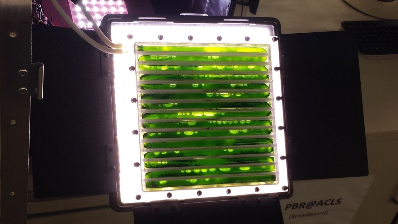 Algae-powered bioreactor on space station could be oxygen, food source for astronauts