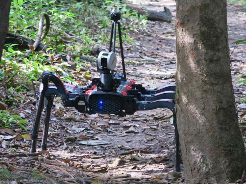 Bot Ecologist. Image: Project Providence