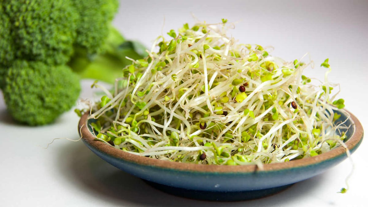 Eat your greens! Broccoli sprouts brings down psychosis in schizophrenia: Study