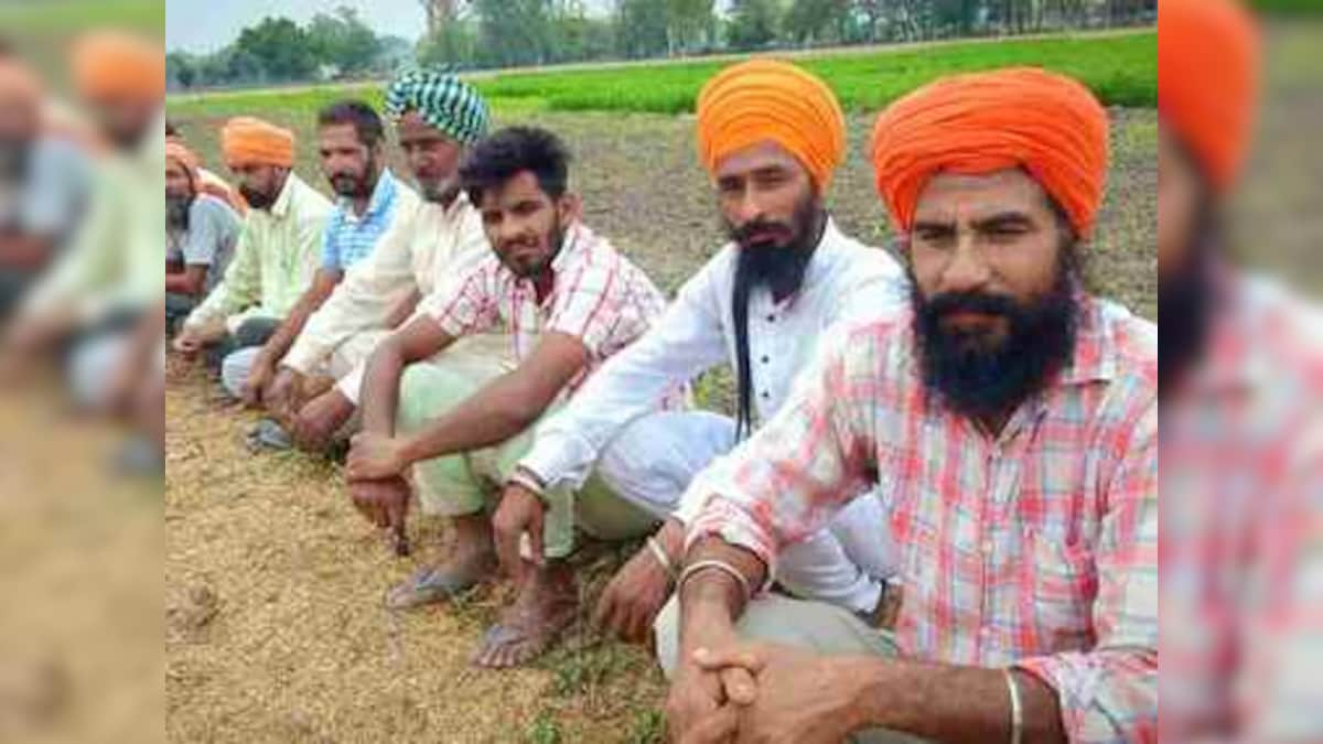 Dalit Sikhs in Punjab unite to press NOTA in final phase of Lok Sabha election, say community has lost faith in govts