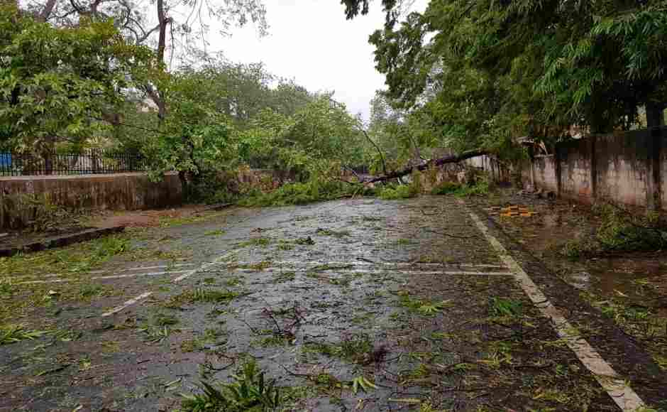 Traffic movement in a road leading to the Capital Hospital in Bhubaneswar was blocked after some trees were uprooted. Sonali Singh/101Reporters Traffic movement in a road leading to the Capital Hospital in Bhubaneswar was blocked after some trees were uprooted. Sonali Singh/101Reporters