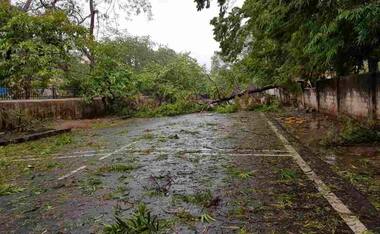 Cyclone Fani tears through Odisha: Trees uprooted, homes destroyed, people stranded in shelter homes